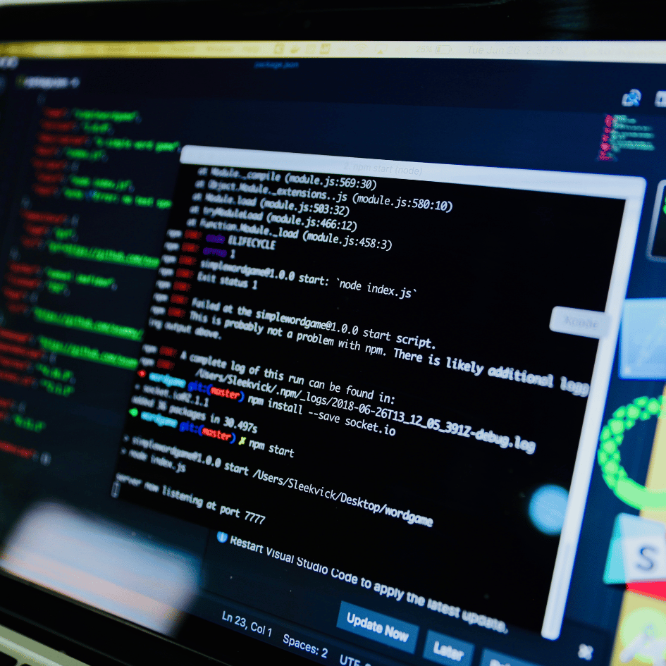 Why do large financial institutions buy software?